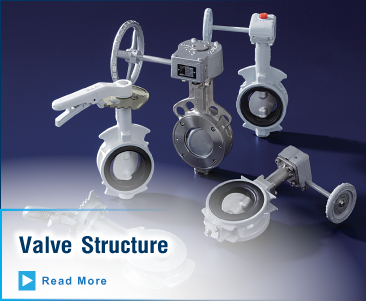 Valve Structure